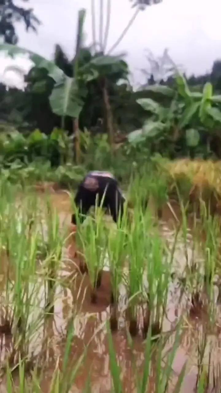 Savage prank proving there is absolutely no honor among friends with a hilarious outcome