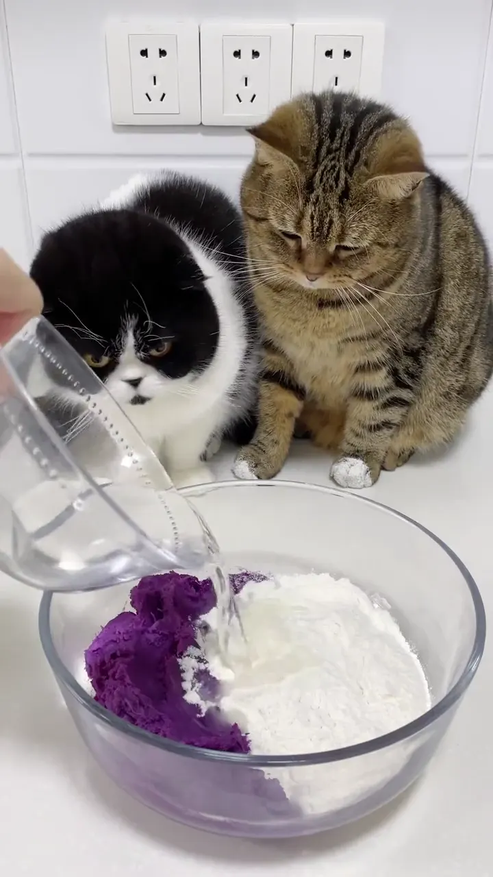 Food fail viral moment in the kitchen with a hilariously unexpected cooking disaster result