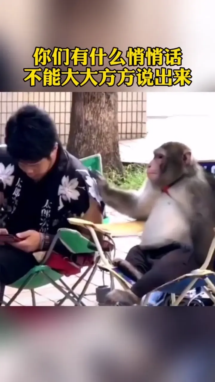 Hilarious moment of someone communicating with animals in an unexpectedly funny way