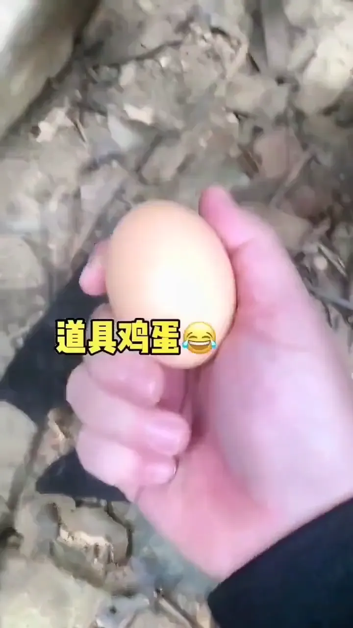 Sneaky and hilarious move caught on camera in a daily funny moment that went viral