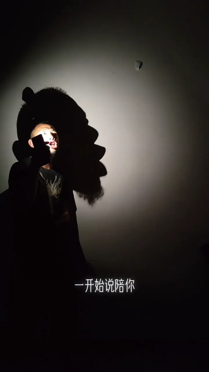 Creative shadow play that transforms ordinary hand movements into extraordinary silhouette art