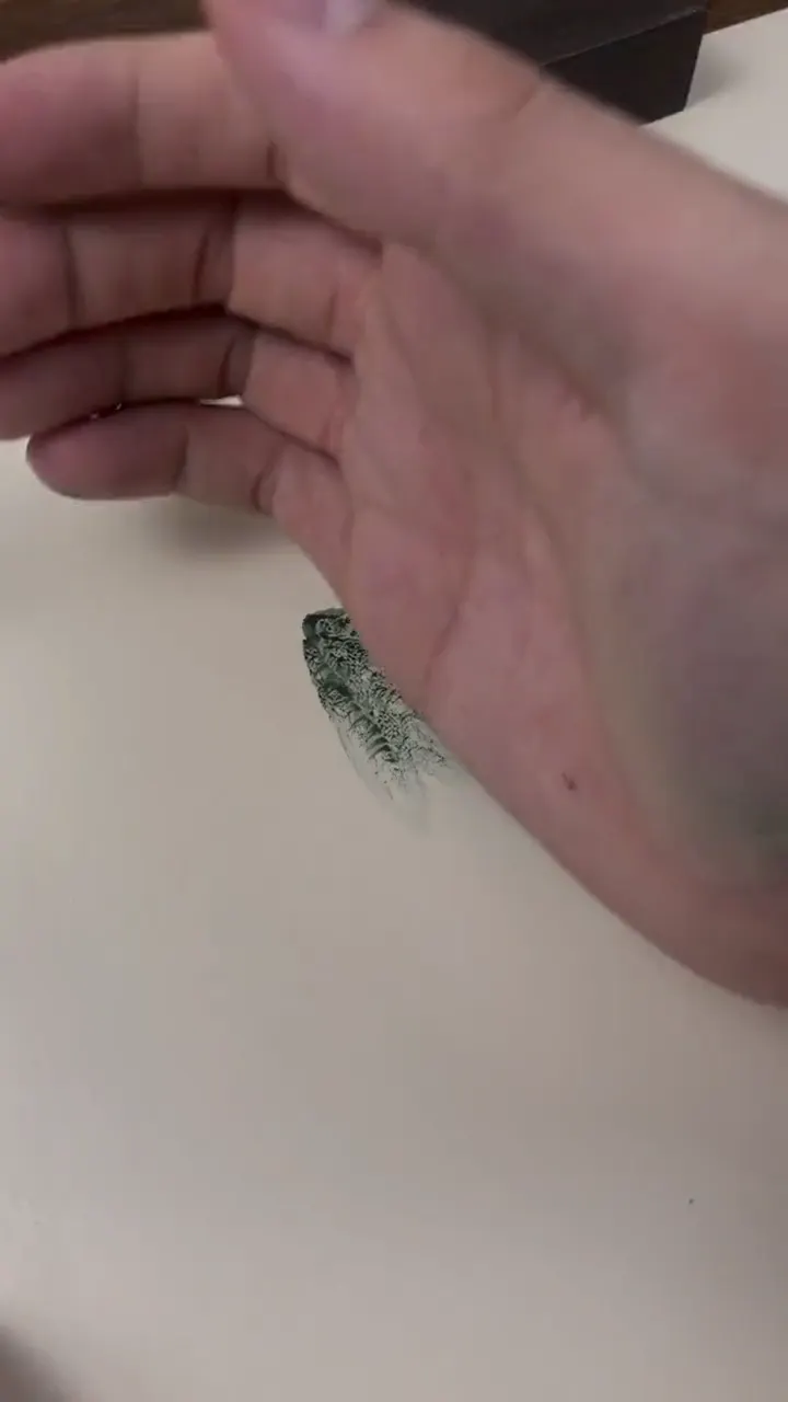 Quick demonstration of painting skill passed down through generations